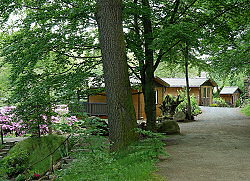 Ferienhäuser im Wald